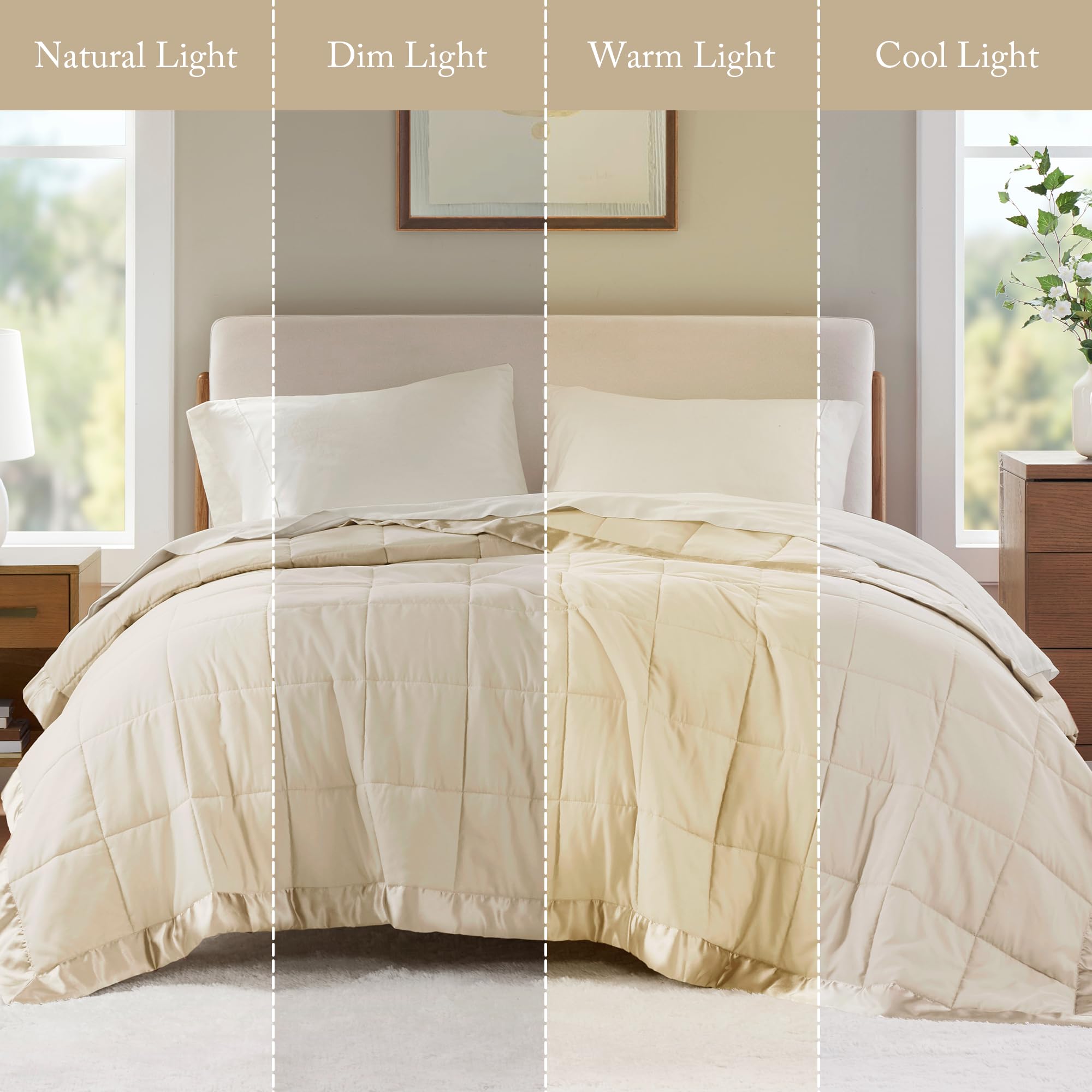Madison Park Windom OEKO-TEX certified blanket for safe comfort.