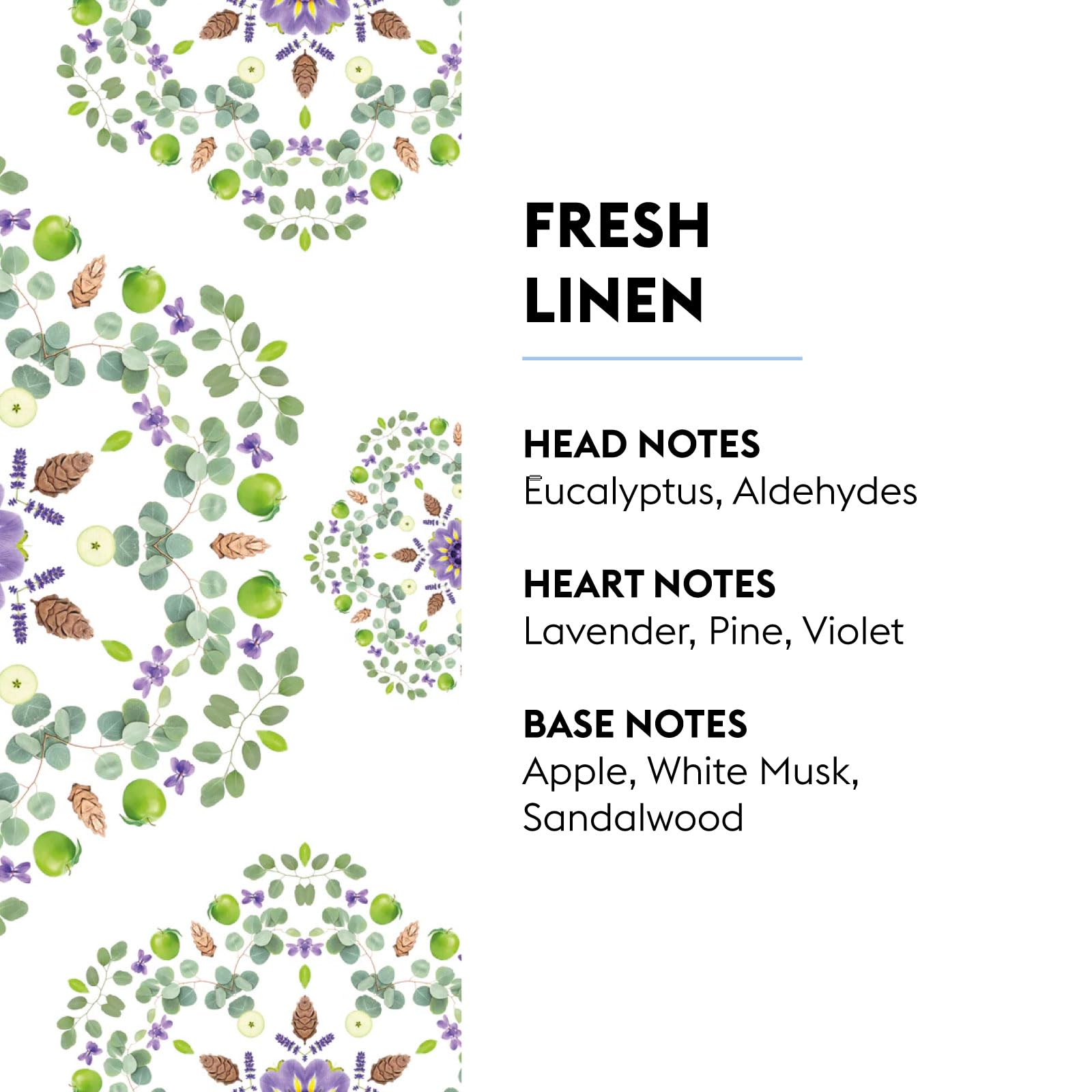 MAISON BERGER 2-in-1 catalytic system highlights odor neutralization and fragrance diffusion