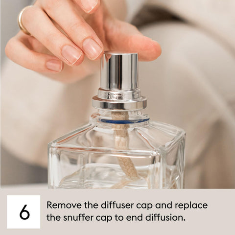 MAISON BERGER made-in-france quality supports reliable diffusion
