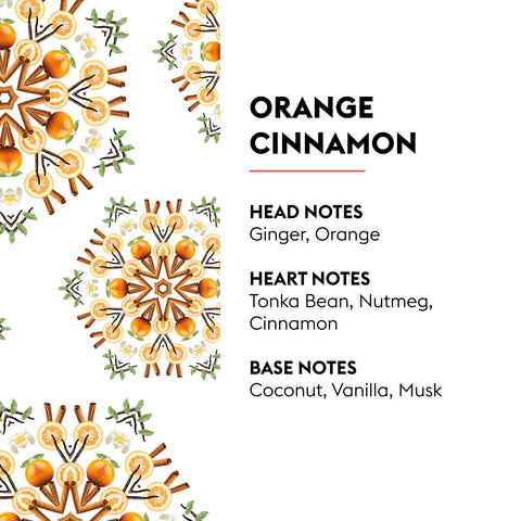 Maison Berger Vanilla Gourmet notes close-up highlights cocoa and vanilla nuances