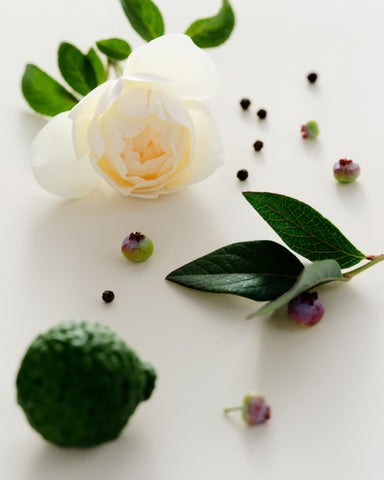 Maison Louis Marie Antidris Cassis packaging detail reinforces vegan cruelty-free brand promise.