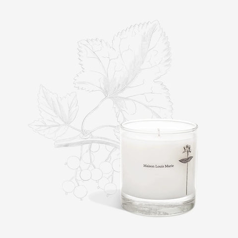 Maison Louis Marie Antidris Cassis wax poured demonstrates smooth texture for refined ambiance.