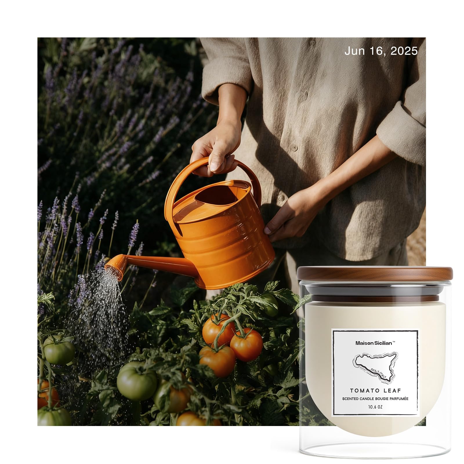 Maison Sicilian Tomato Leaf Candle closeup highlights fresh greens and earthy undertones.