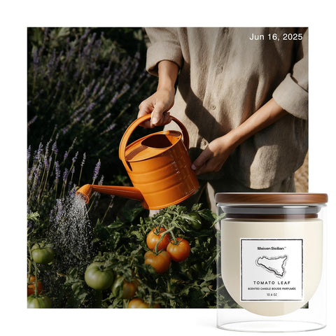 Maison Sicilian Tomato Leaf Candle closeup highlights fresh greens and earthy undertones.