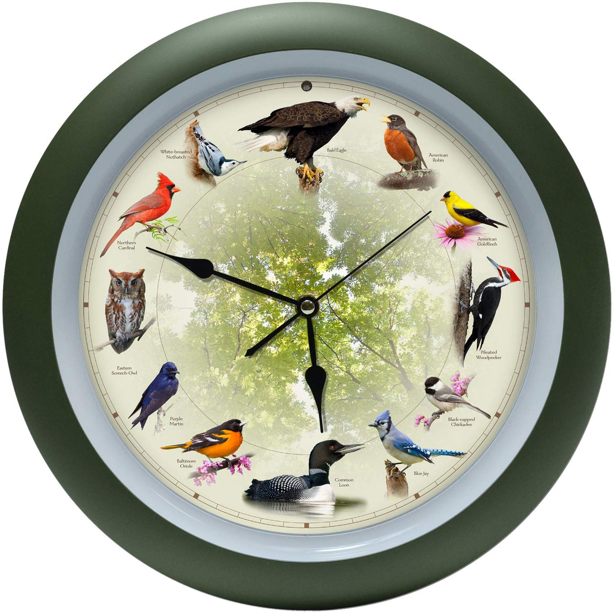 Mark Feldstein Singing Bird Clock face close-up showcases detailed melodies and decor.