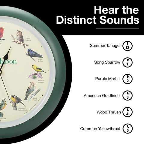 Mark Feldstein Audubon 13-inch clock provides clear visibility in a vibrant green finish.