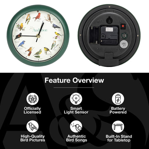 Mark Feldstein Audubon clock, green back view, compact size suits desks.