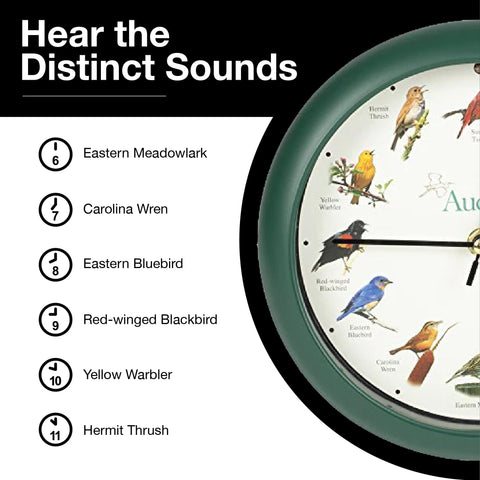 Mark Feldstein Audubon clock, green night mode, light sensor silences sounds.