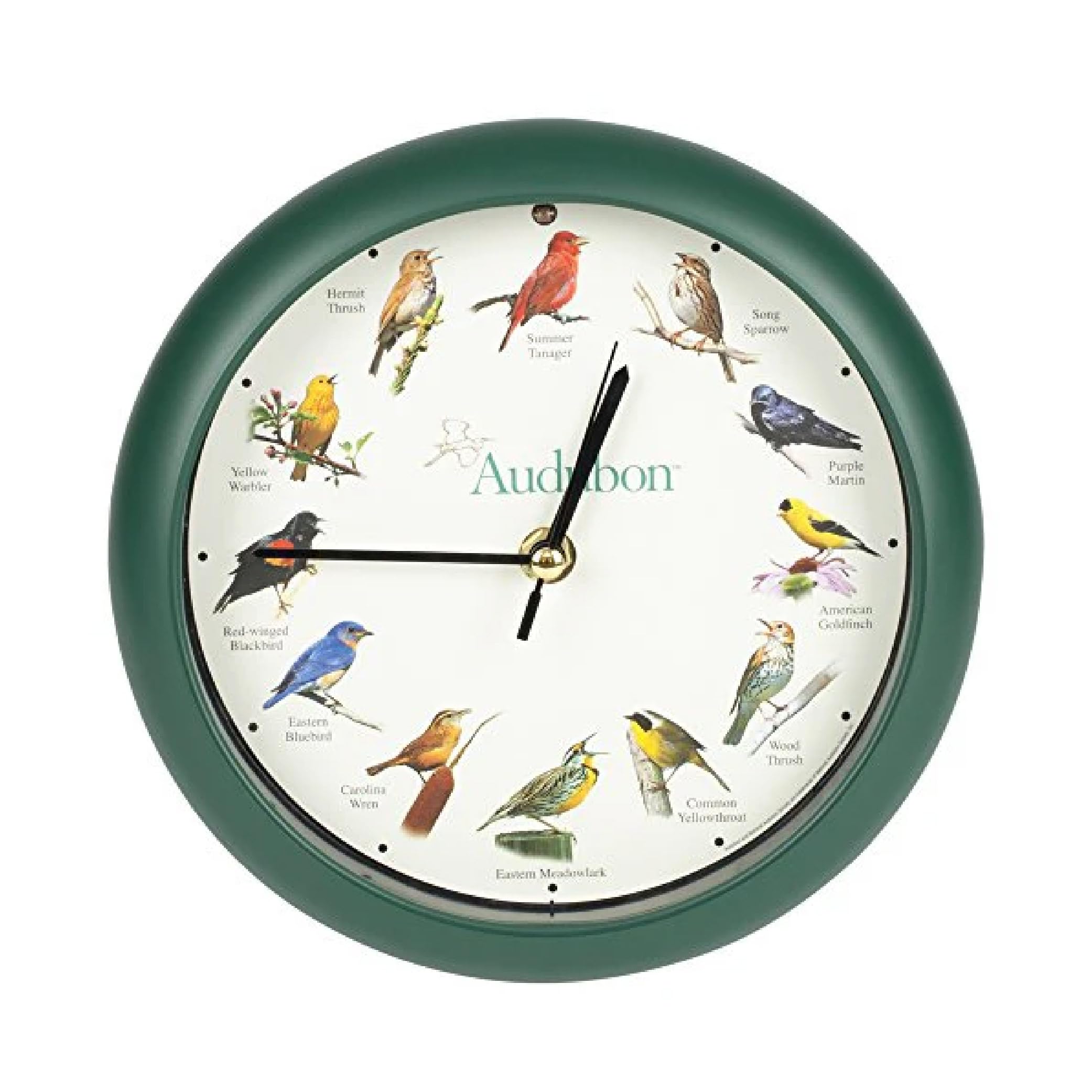 Mark Feldstein Audubon clock in green front view, adds nature-inspired ambiance to living spaces.