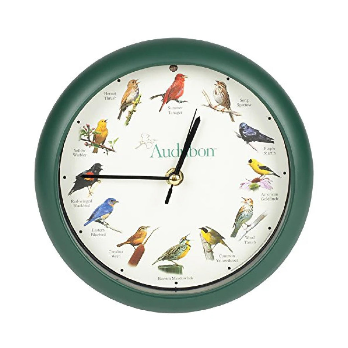 Mark Feldstein Audubon clock in green front view, adds nature-inspired ambiance to living spaces.