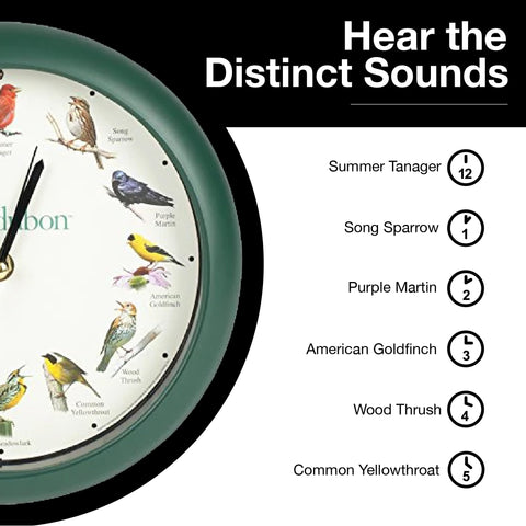 Mark Feldstein Audubon clock, green packaging, ready to gift or display.