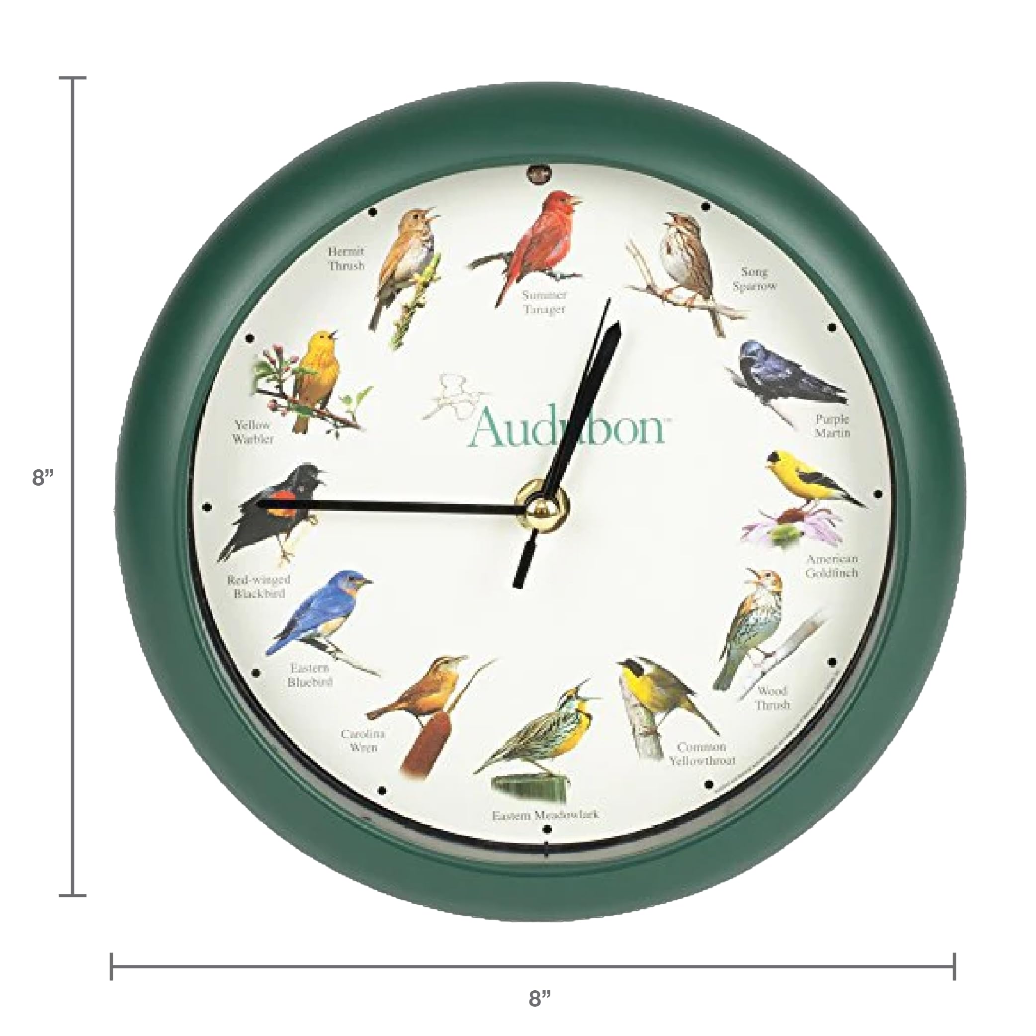 Mark Feldstein Audubon clock, green side view, complements wood tones and decor.