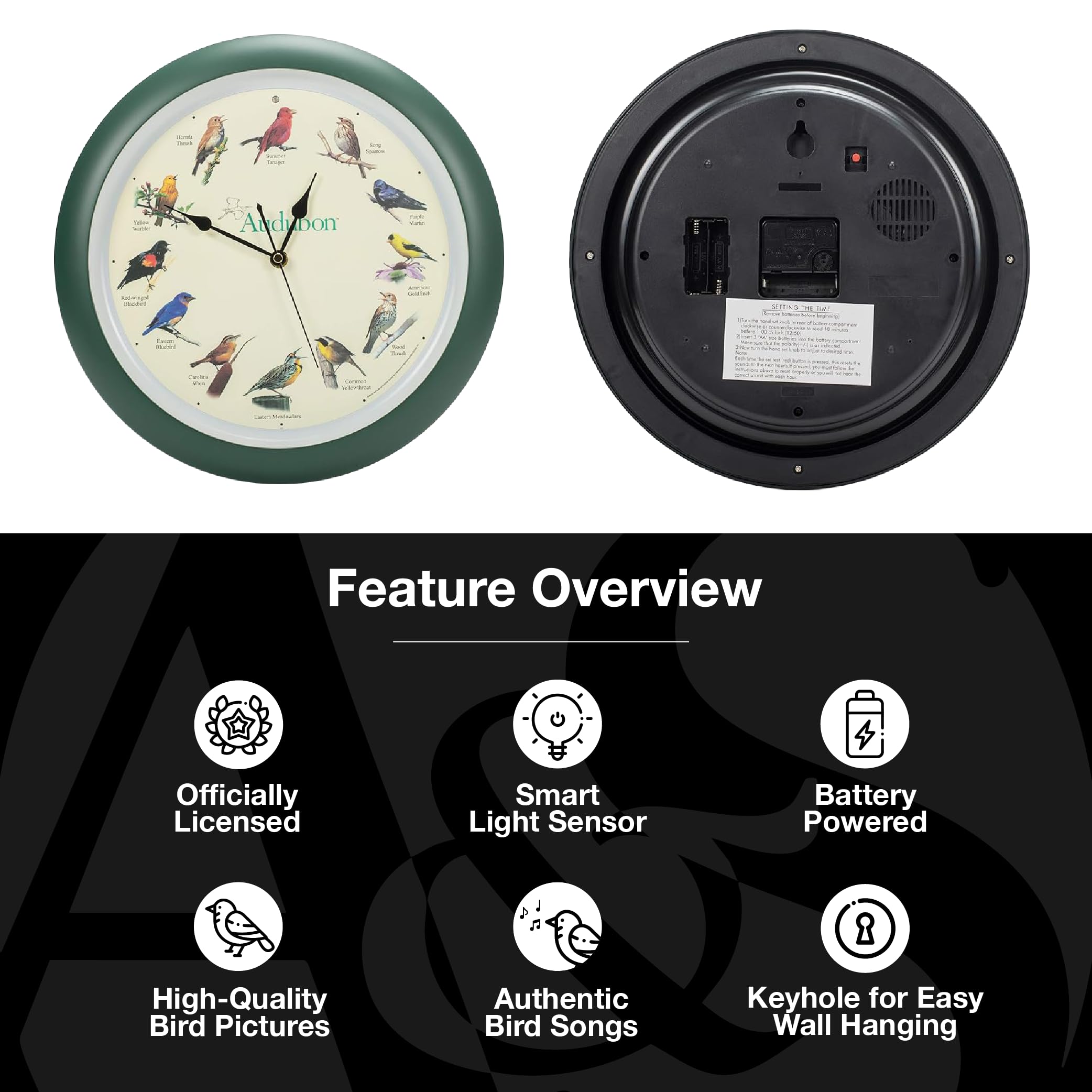 Mark Feldstein Audubon wall clock with back keyhole slot for easy hanging.