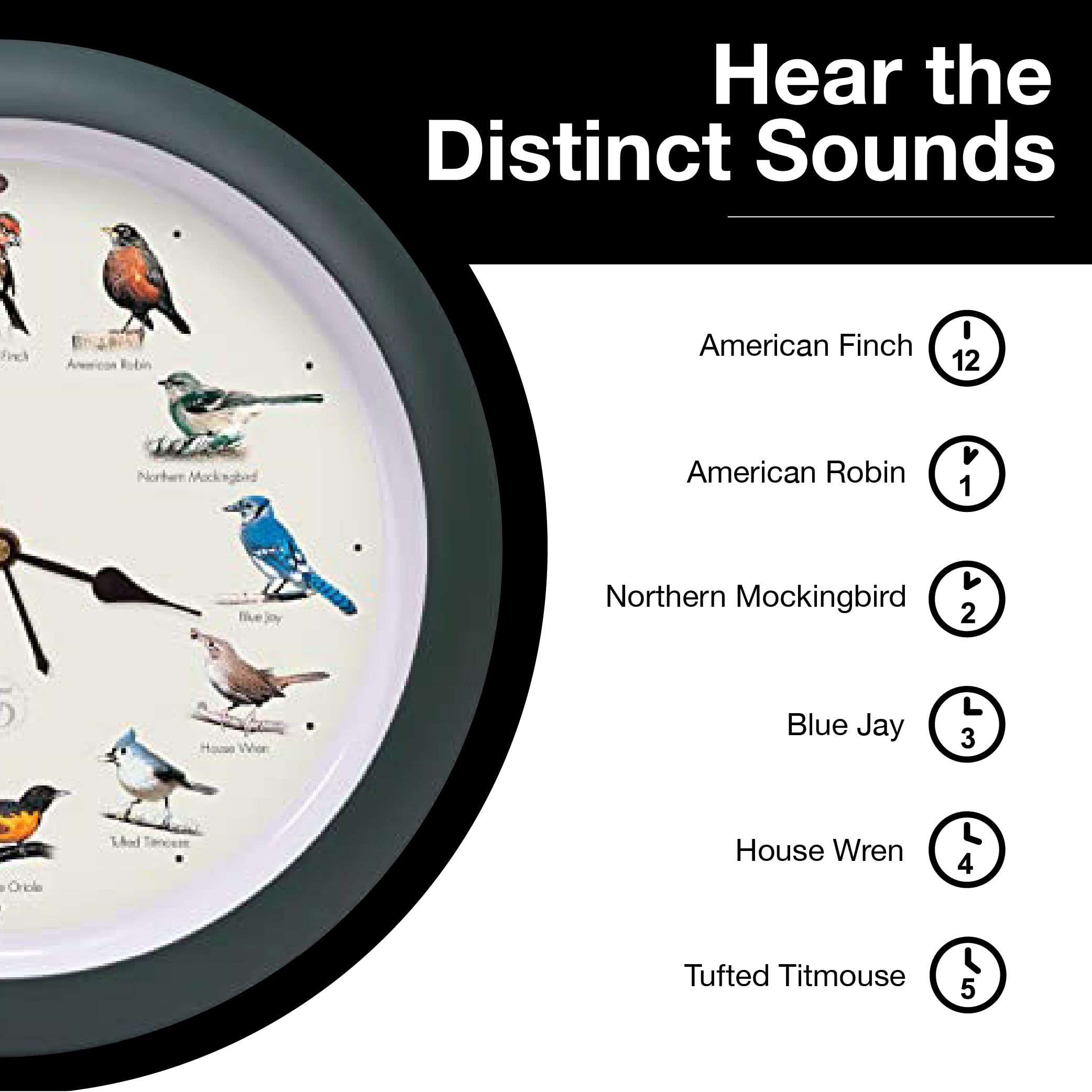 Mark Feldstein field guide included for curious minds and nature enthusiasts.