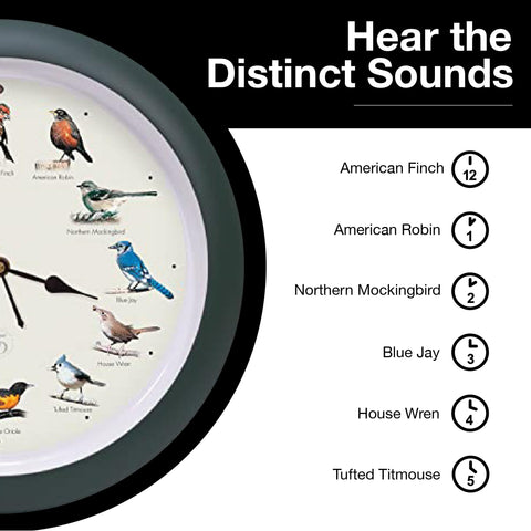 Mark Feldstein field guide included for curious minds and nature enthusiasts.