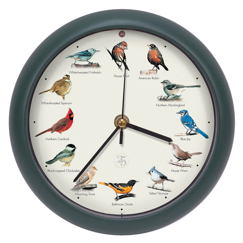 Mark Feldstein Original Singing Bird Clock 8-inch green face with vivid artwork and songs.