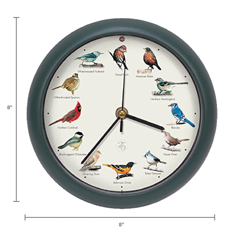 Mark Feldstein clock face close-up with digitally remastered bird songs.