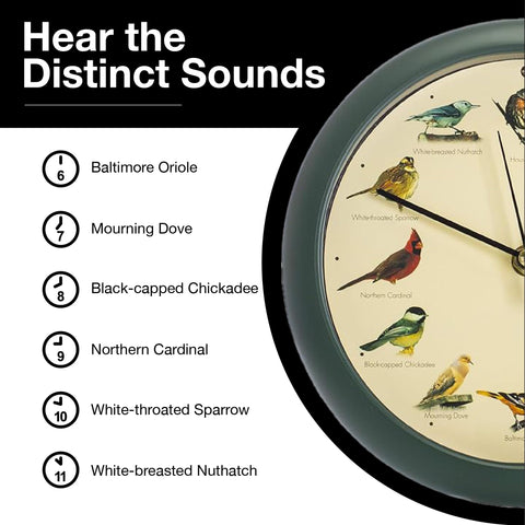 Mark Feldstein original singing bird clock 8 inch green detailed bird images accompany calls.