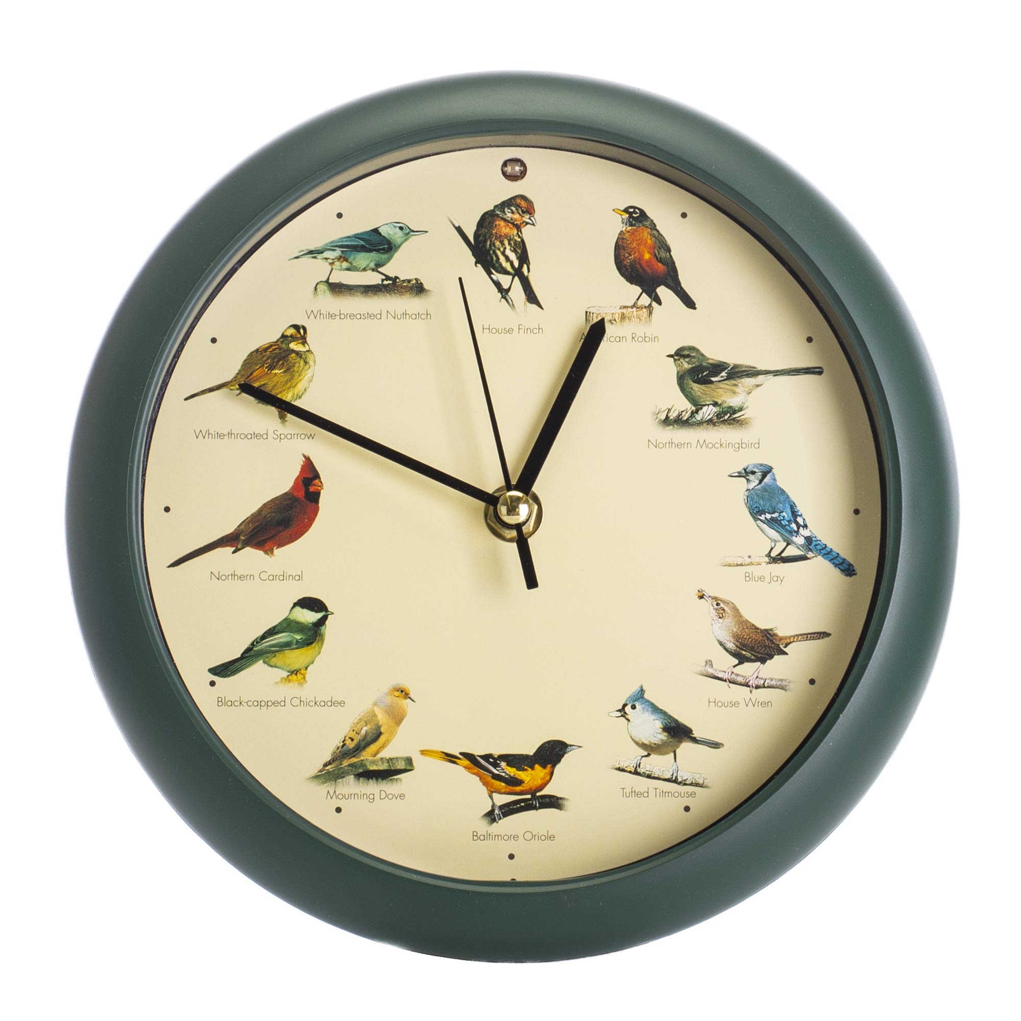 Mark Feldstein original singing bird clock 8 inch green night sensor for quiet evenings.