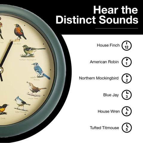 Mark Feldstein original singing bird clock 8 inch green wall or desk display.
