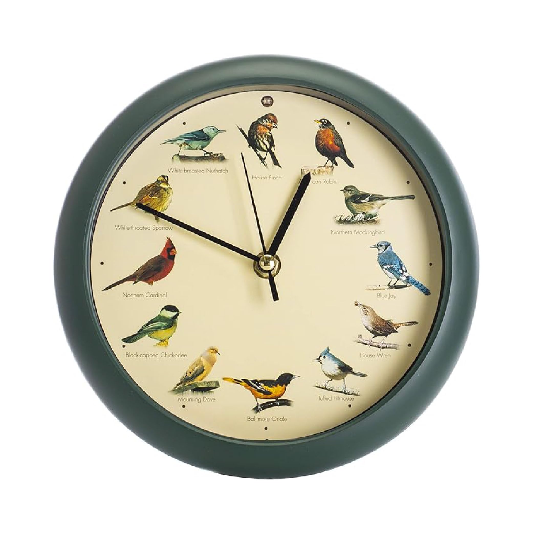 Mark Feldstein original singing bird clock 8 inch green wall display with lifelike bird calls.