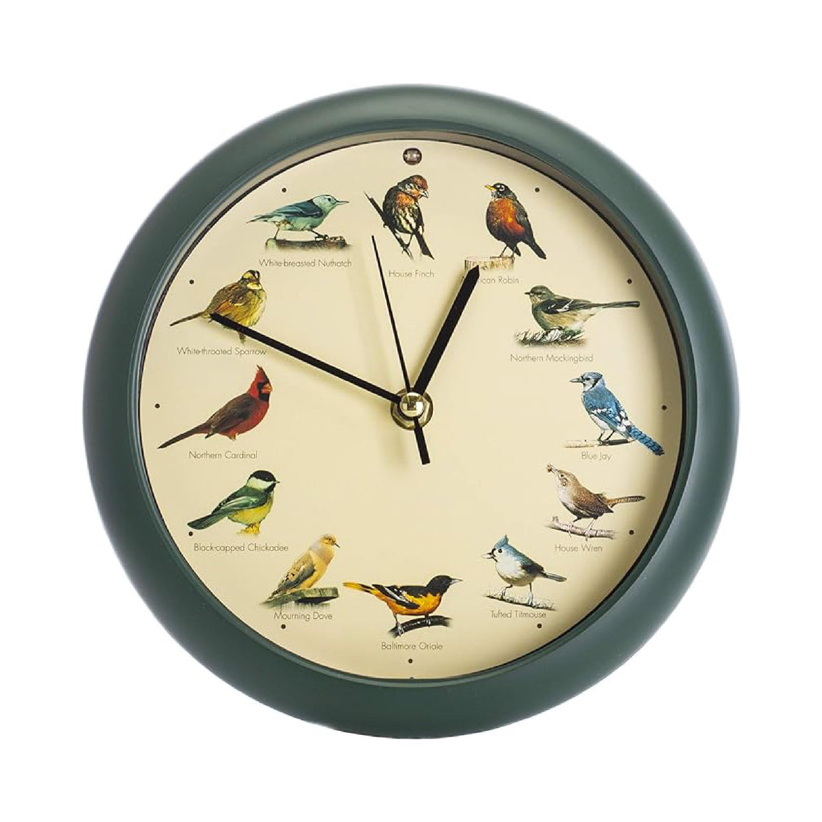 Mark Feldstein original singing bird clock 8 inch green wall display with lifelike bird calls.