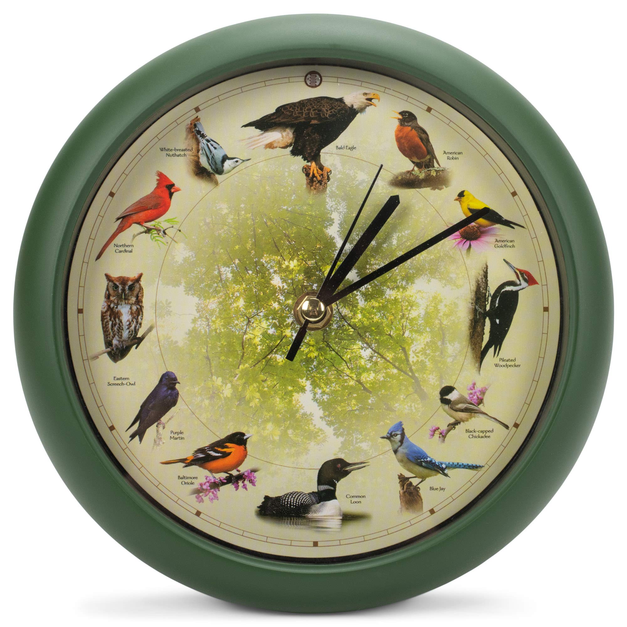 Mark Feldstein Singing Bird Clock 8-inch dial for versatile wall or desk display.