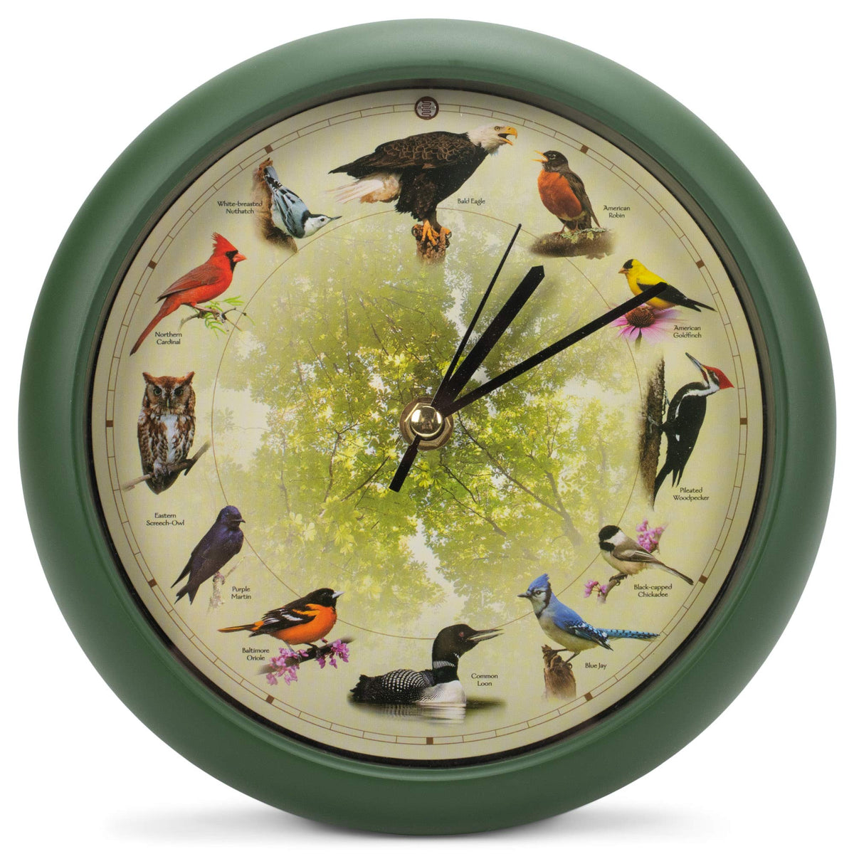 Mark Feldstein Singing Bird Clock 8-inch dial for versatile wall or desk display.