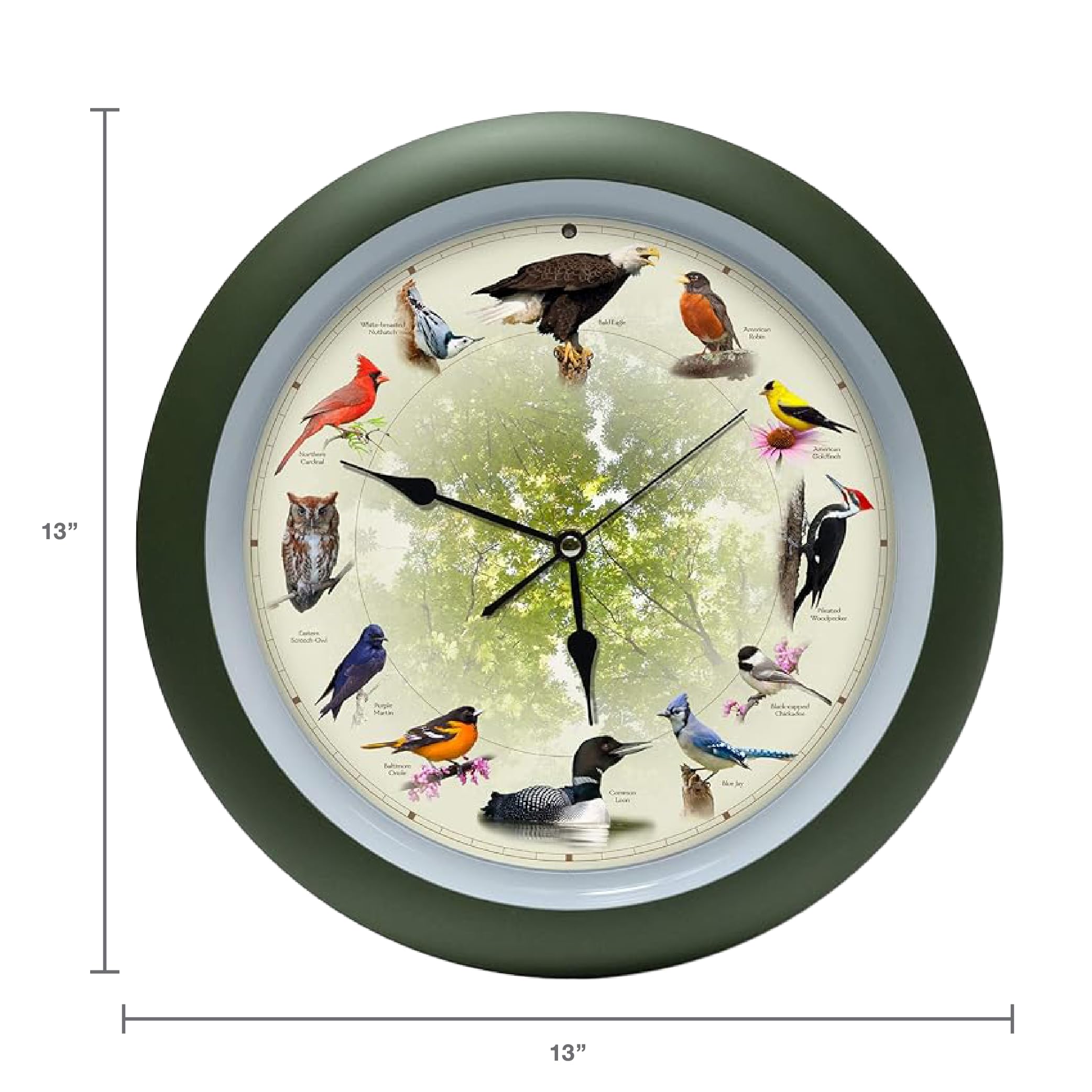 Mark Feldstein Singing Bird Clock with night sensor mutes songs for quiet evenings.