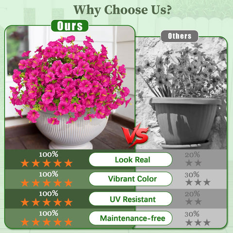 MARTINE MALL vibrant petunias for bright, lasting outdoor color