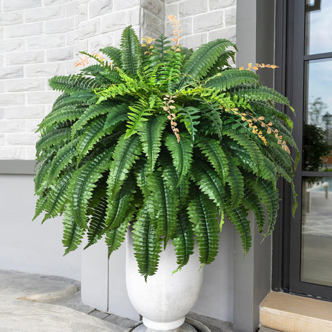 MARTINE MALL 48-inch artificial fern with lush full appearance for outdoor spaces.
