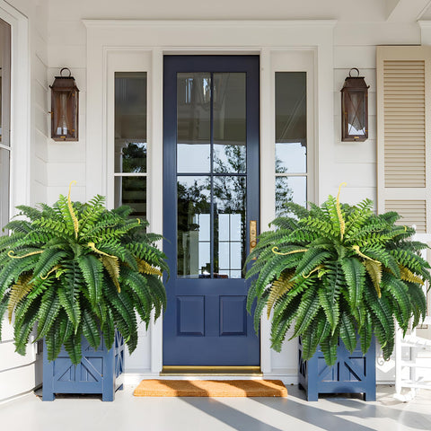 Martine Mall Boston fern 48in with 88 leaves, ideal for outdoor planters.