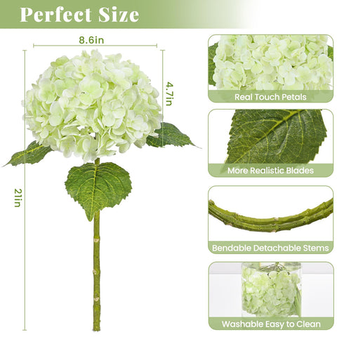 Martine Mall hydrangea in vase setup showcasing versatile styling.