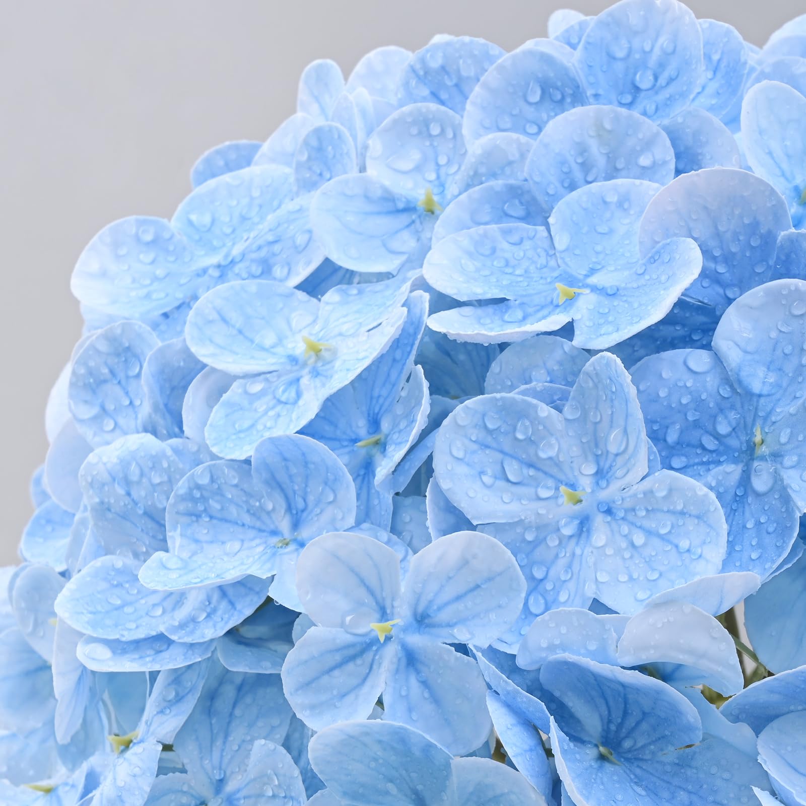 MARTINE MALL soft latex petals capture a velvety look for versatile arrangements