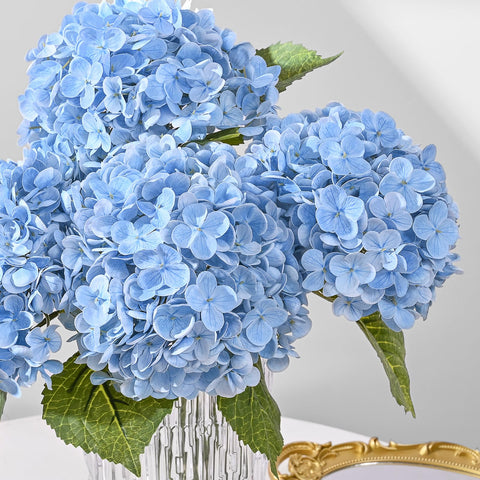 MARTINE MALL blue hydrangea ideal for weddings and events centerpieces