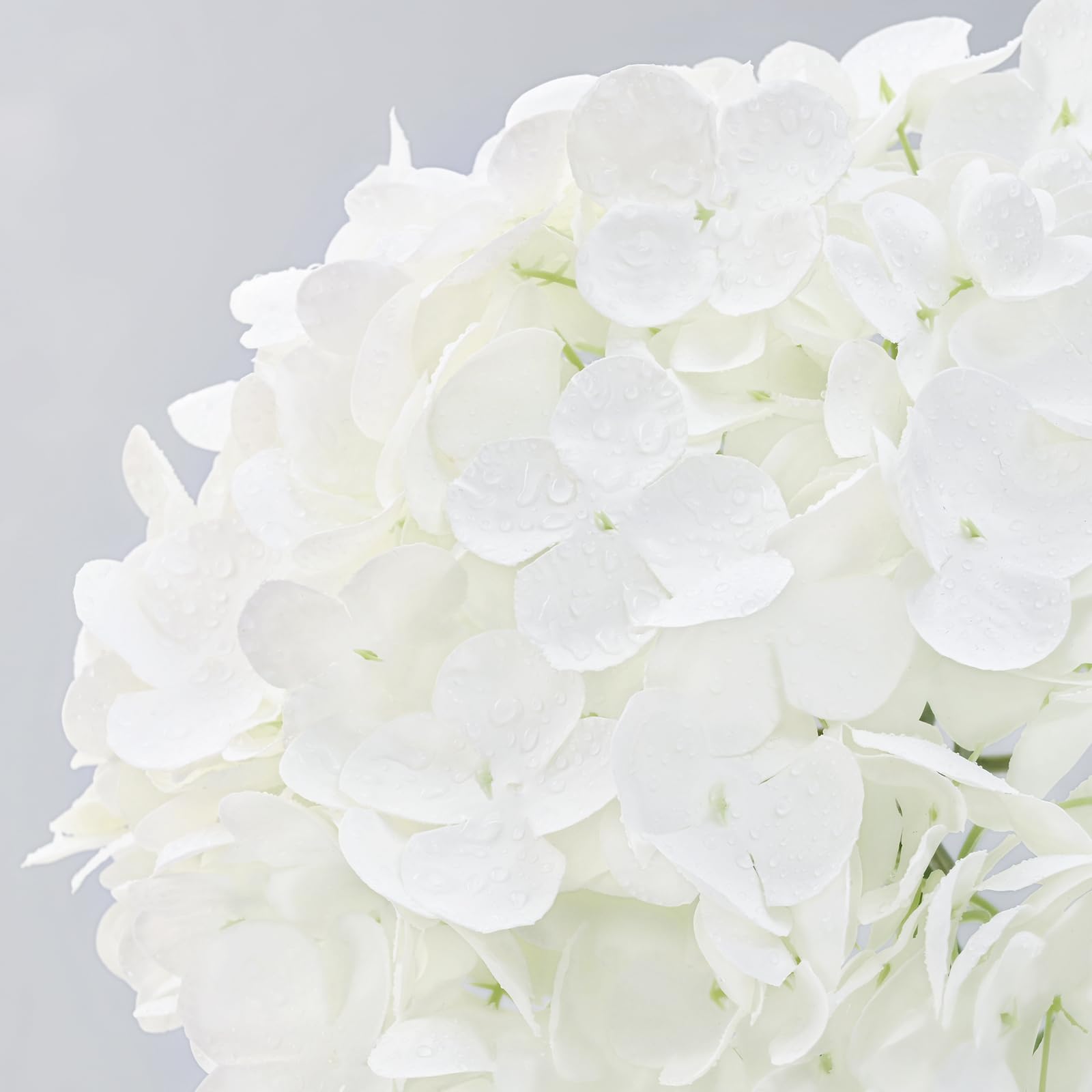 MARTINE MALL white hydrangea leaves texture for authentic look