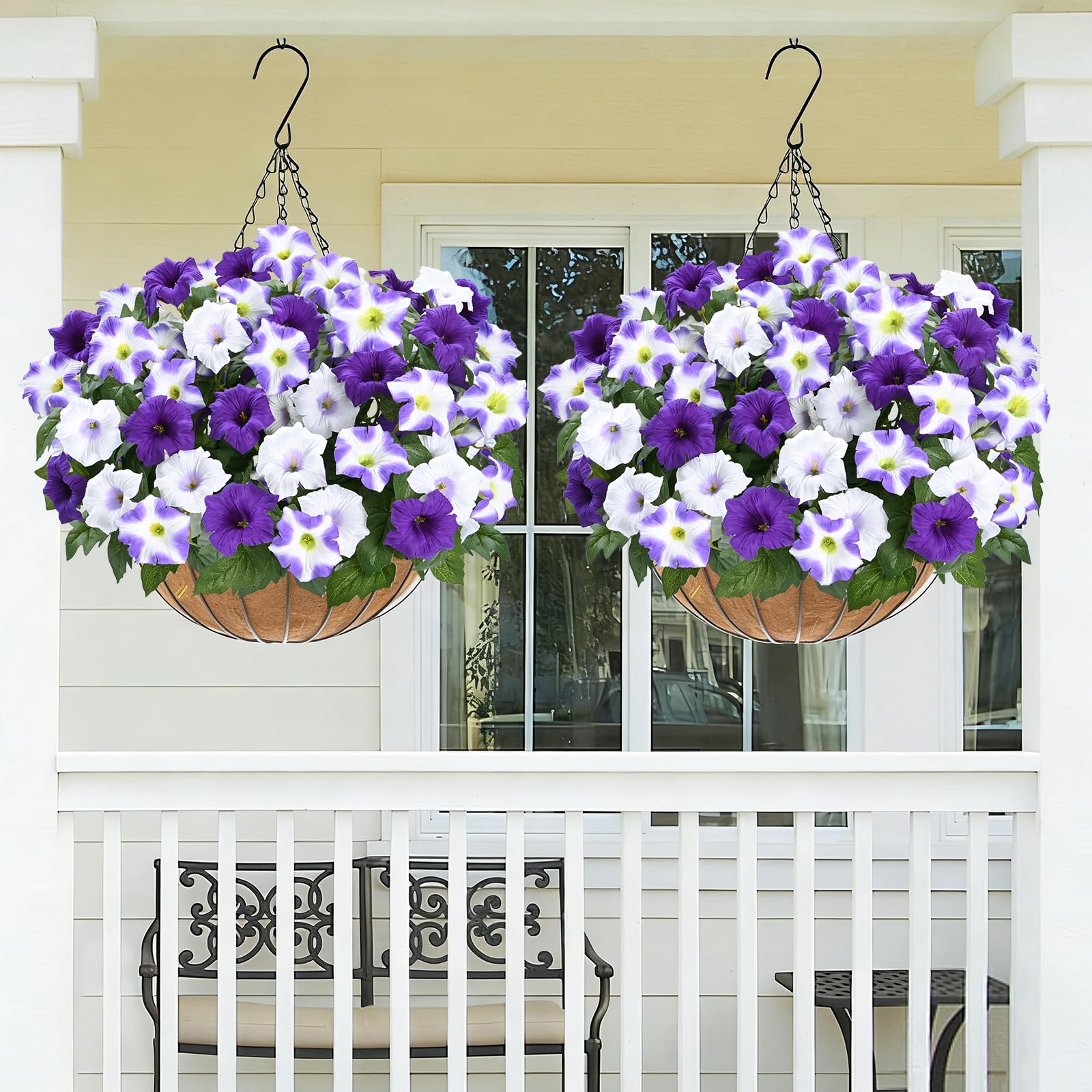 MARTINE MALL maintenance-free blooms with no watering or pruning needed
