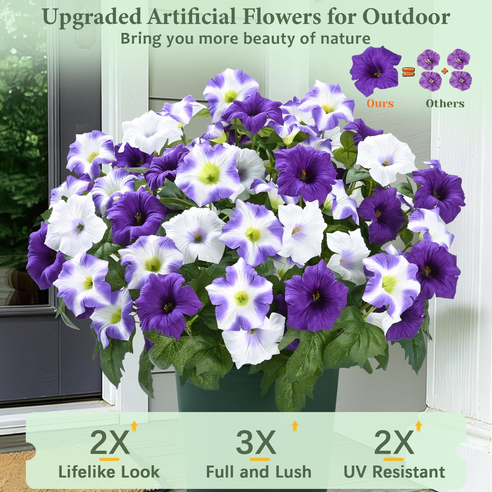 MARTINE MALL outdoor petunia in pot boosts garden color without watering
