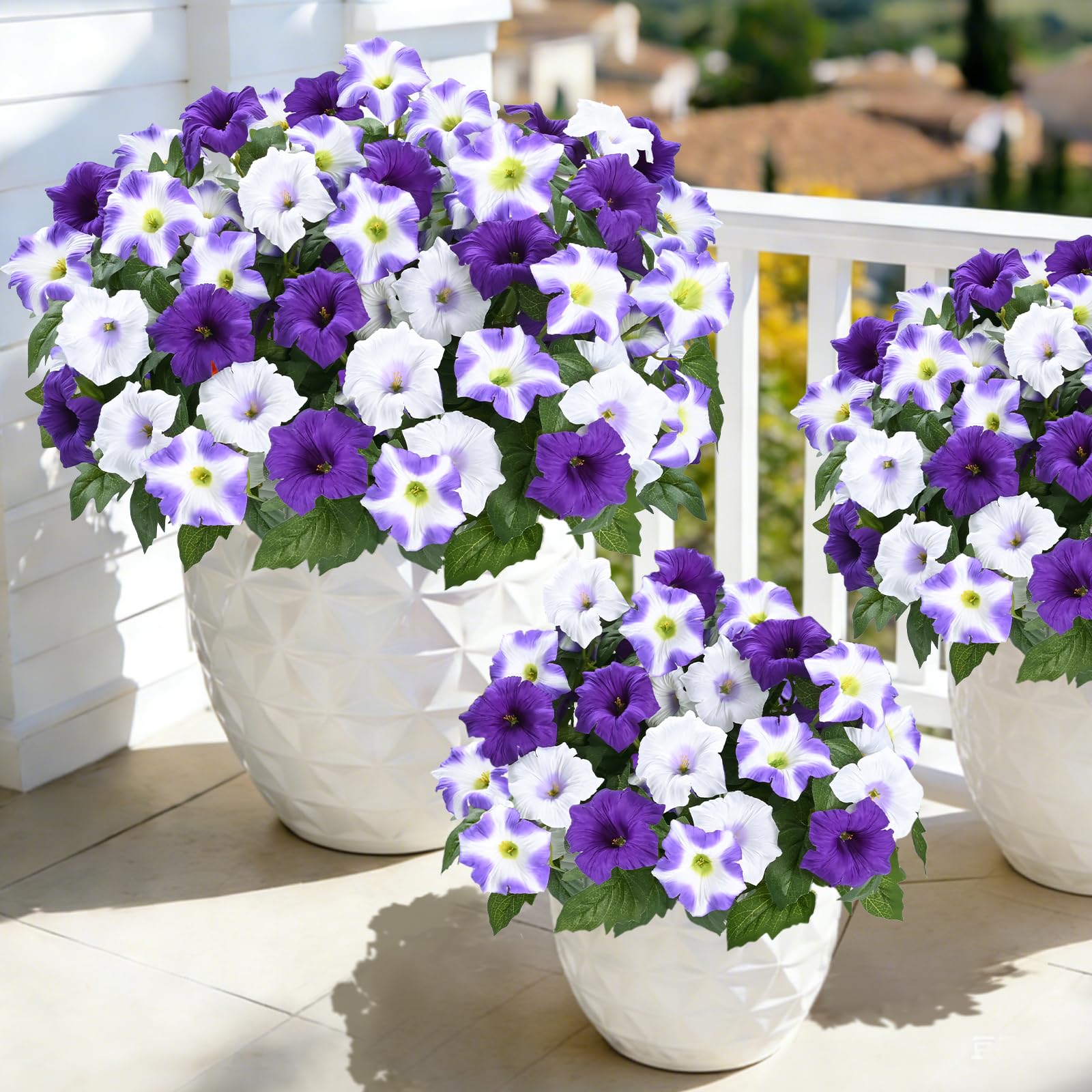 MARTINE MALL vivid petunia hues brighten entryways and patios year-round