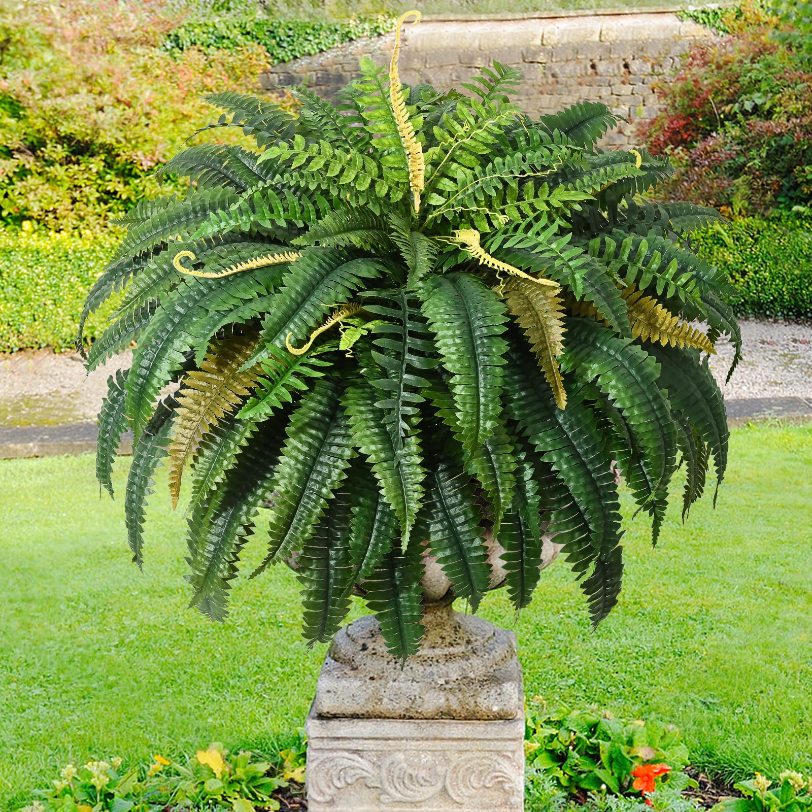Martine Mall vibrant green fern enhances patios, gardens, poolside areas