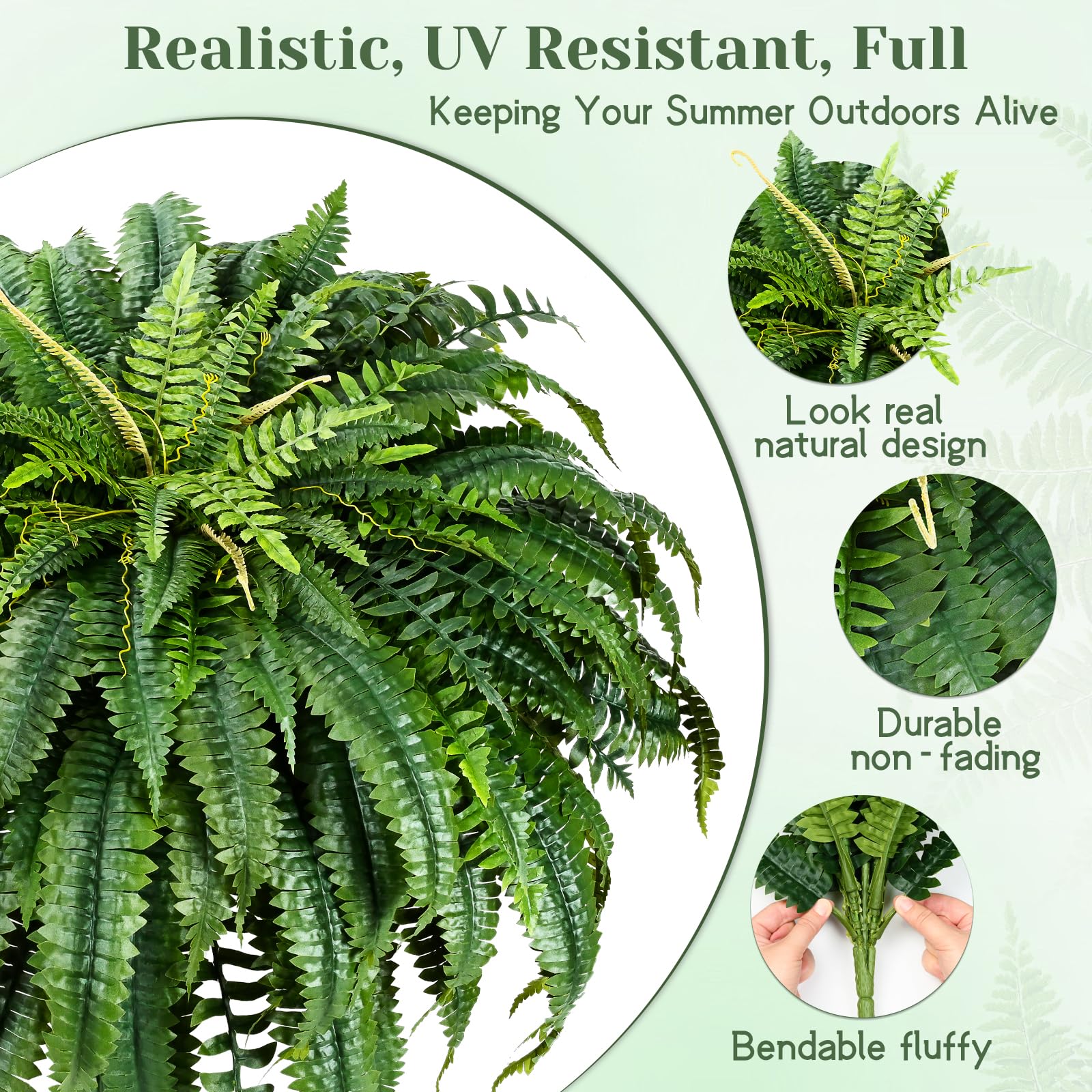 Martine Mall UV-resistant Boston fern for sunlit patios.
