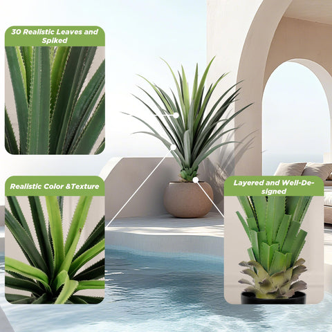 Mavis's Diary spiked agave in living room decor setup