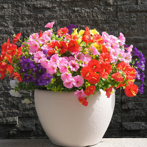 maxkes 12-bundle pack ready for easy outdoor arrangements