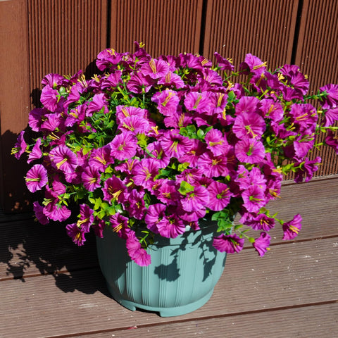 Maxkes detailed petal texture adds lifelike charm to exteriors