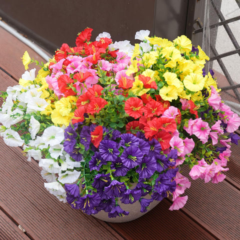 maxkes patio decor with morning glory for vibrant outdoor spaces