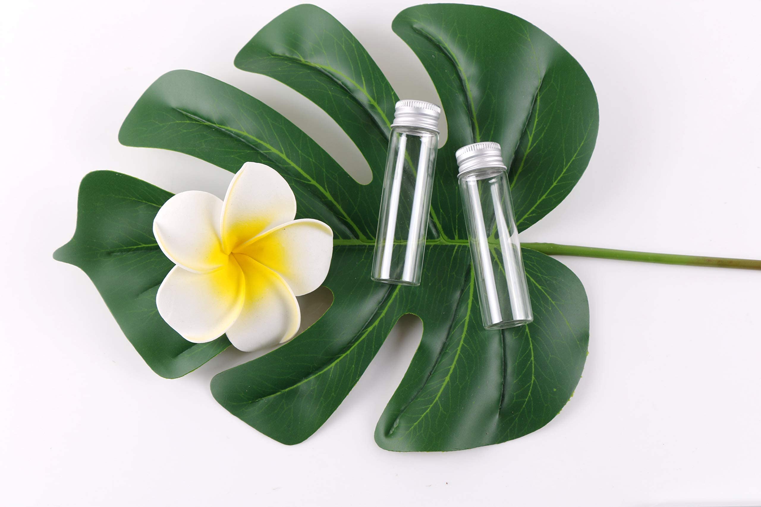 MaxMau packaged set of bottles ideal for crafts and favors.