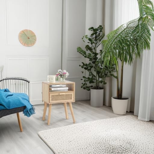 MaxSmeo two tier storage keeps essentials within reach