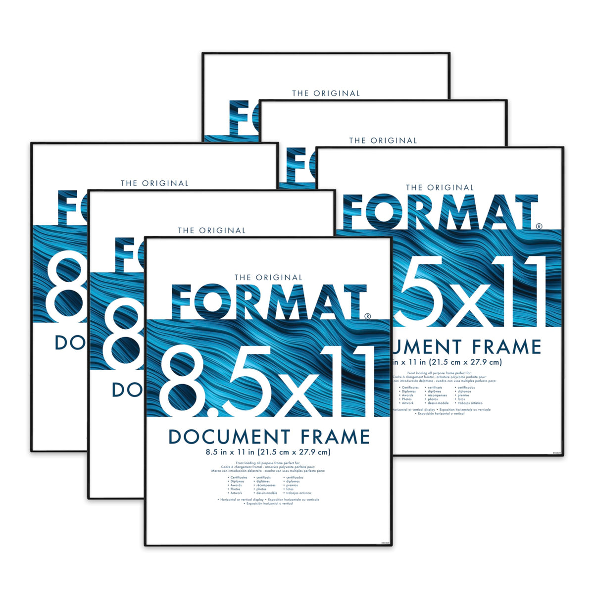 MCS Format 8.5x11 frame front view with glass face protecting diplomas and artwork