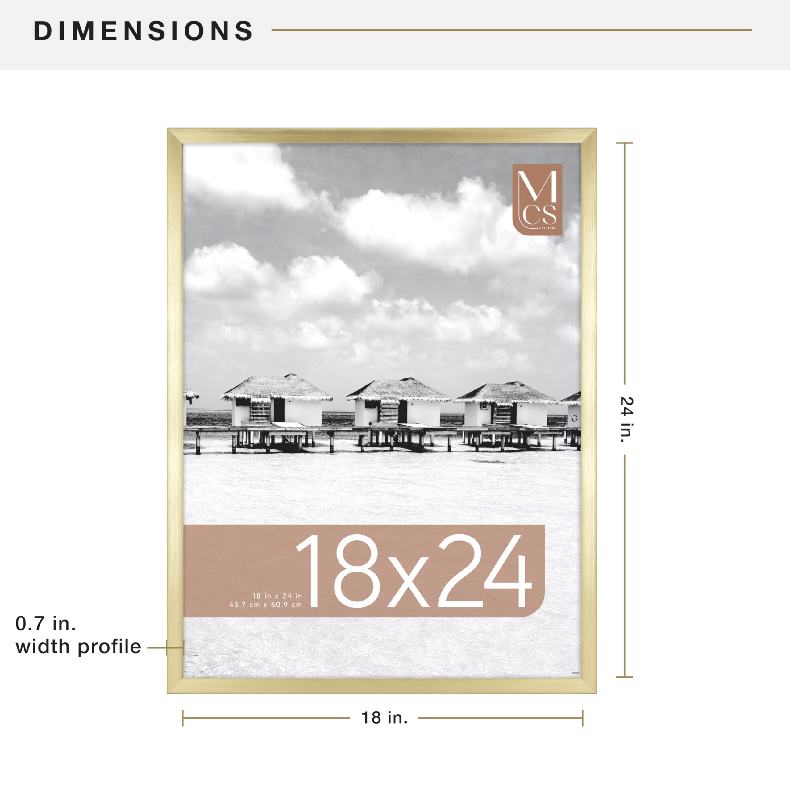 MCS Foundation 18x24 brass frame on gallery wall for posters and art