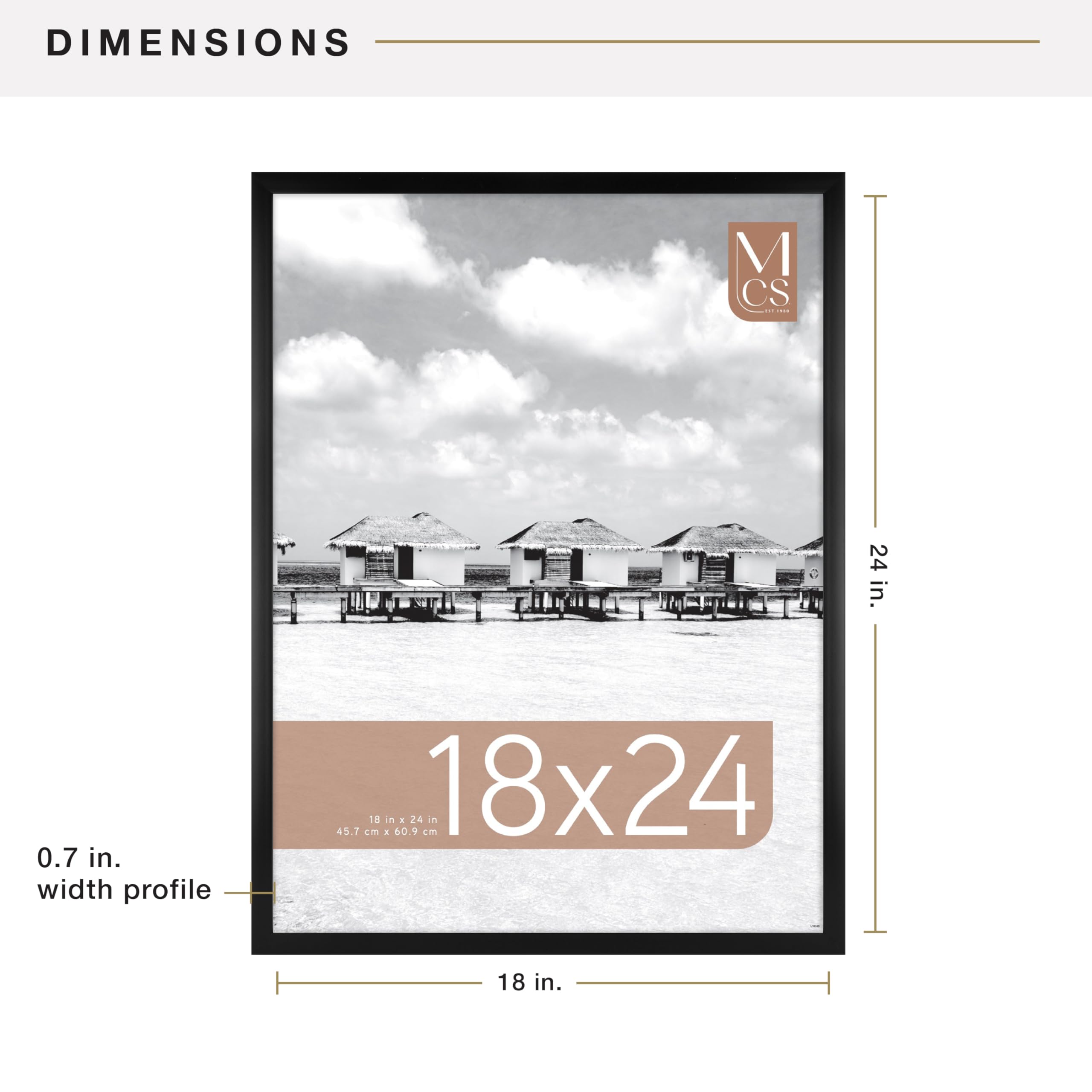 MCS Foundation 18x24 frame with clear plexi front protecting posters.